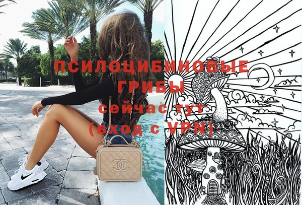 ECSTASY Армянск