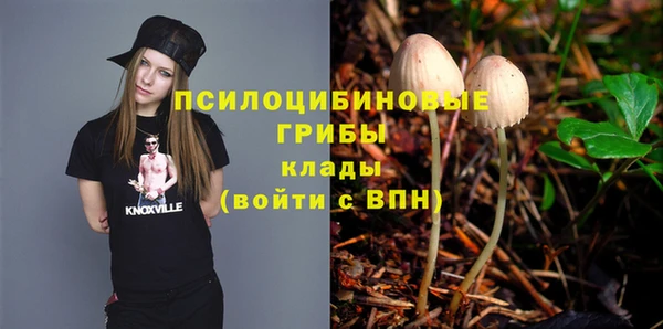 синтетический гашиш Арсеньев