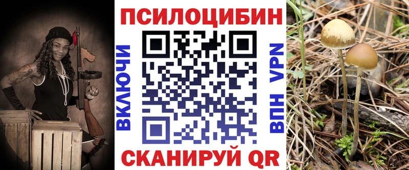 закладка  Реж  Галлюциногенные грибы MAGIC MUSHROOMS 